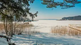 Wschodni brzeg jeziora Gołdopiwo, styczeń 2026 r.