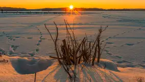 Zachód słońca nad jeziorem Bełdany, luty 2026 r. - zdjęcie 39