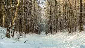 Mazurska zima przy przeprawie promowej, Wierzba, luty 2026 r. - zdjęcie 10