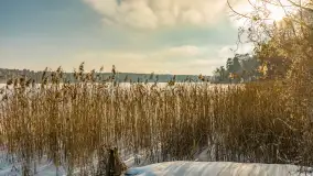 Mazurska zima przy przeprawie promowej, Wierzba, luty 2026 r. - zdjęcie 8