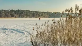Mazurska zima przy przeprawie promowej, Wierzba, luty 2026 r. - zdjęcie 6