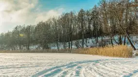 Mazurska zima przy przeprawie promowej, Wierzba, luty 2026 r. - zdjęcie 4