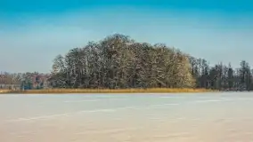 Mazurska zima przy przeprawie promowej, Wierzba, luty 2026 r. - zdjęcie 23