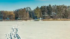 Mazurska zima przy przeprawie promowej, Wierzba, luty 2026 r. - zdjęcie 19