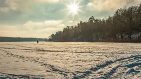 Mazurska zima przy przeprawie promowej, Wierzba, luty 2026 r. - zdjęcie 15