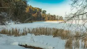 Mazurska zima przy przeprawie promowej, Wierzba, luty 2026 r. - zdjęcie 11