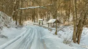 Mazurska zima przy przeprawie promowej, Wierzba, luty 2026 r. - zdjęcie 5