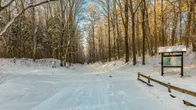 Mazurska zima przy przeprawie promowej, Wierzba, luty 2026 r. - zdjęcie 14