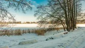 Mazurska zima przy przeprawie promowej, Wierzba, luty 2026 r. - zdjęcie 1