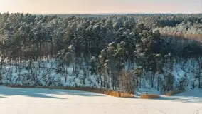 Okolice Wierzby i jeziora Bełdany w okowach zimy, luty 2026 r. - zdjęcie 22