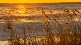 Zimowy zachód słońca nad mazurskimi polami, Cierzpięty, luty 2026 r. - zdjęcie 4