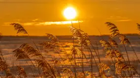 Zimowy zachód słońca nad mazurskimi polami, Cierzpięty, luty 2026 r. - zdjęcie 8