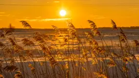 Zimowy zachód słońca nad mazurskimi polami, Cierzpięty, luty 2026 r. - zdjęcie 20