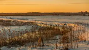 Zimowy zachód słońca nad mazurskimi polami, Cierzpięty, luty 2026 r. - zdjęcie 14