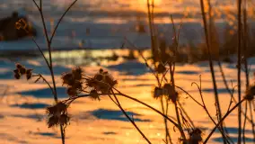Zimowy zachód słońca nad mazurskimi polami, Cierzpięty, luty 2026 r. - zdjęcie 17