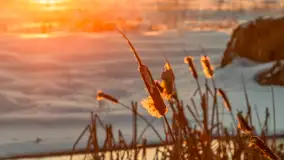 Zimowy zachód słońca nad mazurskimi polami, Cierzpięty, luty 2026 r. - zdjęcie 15