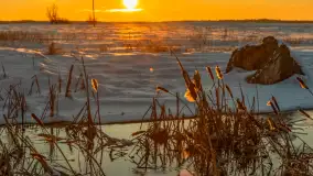 Zimowy zachód słońca nad mazurskimi polami, Cierzpięty, luty 2026 r. - zdjęcie 19