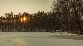 Jezioro Tyrkło, polana Wydra w zimowej odsłonie, luty 2026 r. - zdjęcie 13