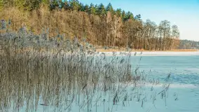 Jezioro Tyrkło, polana Wydra w zimowej odsłonie, luty 2026 r. - zdjęcie 14