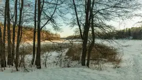 Jezioro Tyrkło, polana Wydra w zimowej odsłonie, luty 2026 r. - zdjęcie 23