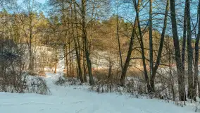 Jezioro Tyrkło, polana Wydra w zimowej odsłonie, luty 2026 r. - zdjęcie 7