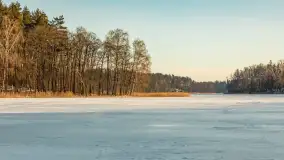 Jezioro Tyrkło, polana Wydra w zimowej odsłonie, luty 2026 r. - zdjęcie 19