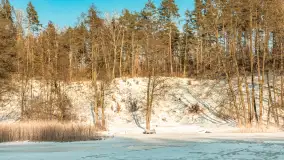 Jezioro Tyrkło, polana Wydra w zimowej odsłonie, luty 2026 r. - zdjęcie 22