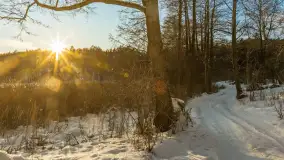 Jezioro Tyrkło, polana Wydra w zimowej odsłonie, luty 2026 r. - zdjęcie 2