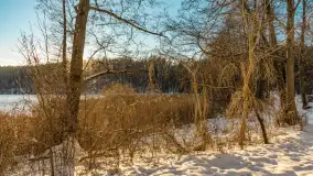 Jezioro Tyrkło, polana Wydra w zimowej odsłonie, luty 2026 r. - zdjęcie 12