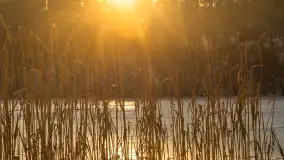 Jezioro Tyrkło, polana Wydra w zimowej odsłonie, luty 2026 r. - zdjęcie 5