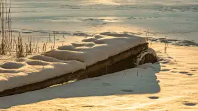 Jezioro Tyrkło, polana Wydra w zimowej odsłonie, luty 2026 r. - zdjęcie 9