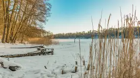 Jezioro Tyrkło, polana Wydra w zimowej odsłonie, luty 2026 r. - zdjęcie 17