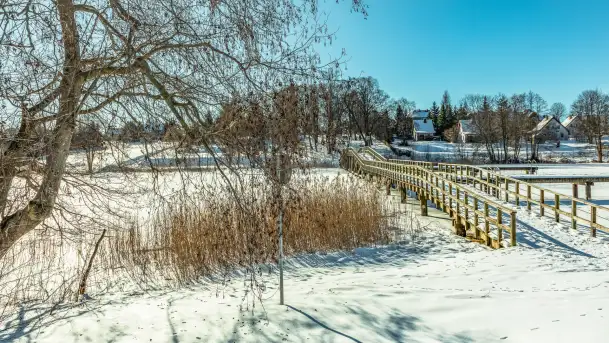 Wydminy i most garbaty w okowach mazurskiej zimy, luty 2026 r. - zdjęcie 7