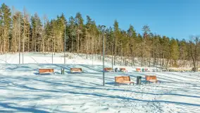 Wydminy i most garbaty w okowach mazurskiej zimy, luty 2026 r. - zdjęcie 24