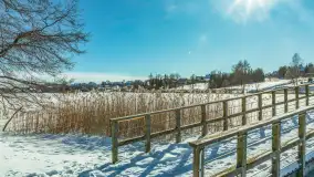 Wydminy i most garbaty w okowach mazurskiej zimy, luty 2026 r. - zdjęcie 22