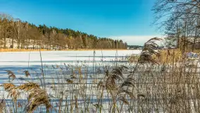 Wydminy i most garbaty w okowach mazurskiej zimy, luty 2026 r. - zdjęcie 46