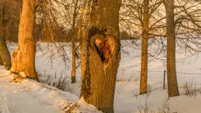 Zachód słońca nad łąkami i polami, okolice Marcinowej Woli - zdjęcie 6