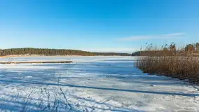 Orzysz i... orzyskie morsy nad jeziorem Orzysz w zimowej scenerii - zdjęcie 2
