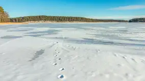 Orzysz i... orzyskie morsy nad jeziorem Orzysz w zimowej scenerii - zdjęcie 18