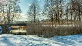 Orzysz i... orzyskie morsy nad jeziorem Orzysz w zimowej scenerii - zdjęcie 19