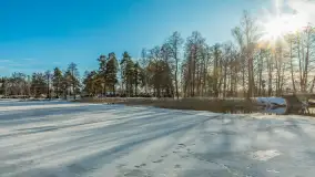 Orzysz i... orzyskie morsy nad jeziorem Orzysz w zimowej scenerii - zdjęcie 31