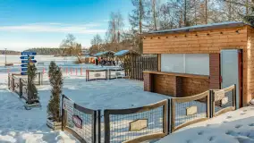 Orzysz i... orzyskie morsy nad jeziorem Orzysz w zimowej scenerii - zdjęcie 37