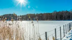 Zimowa wersja plaży w Starych Juchach, jezioro Jędzelewo - zdjęcie 5