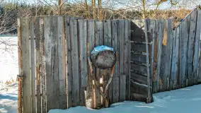 Zimowa wersja plaży w Starych Juchach, jezioro Jędzelewo - zdjęcie 18