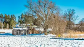 Zimowa wersja plaży w Starych Juchach, jezioro Jędzelewo - zdjęcie 33