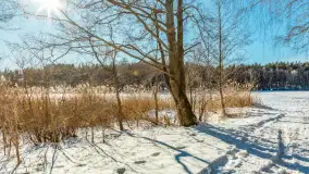 Zimowa wersja plaży w Starych Juchach, jezioro Jędzelewo - zdjęcie 30
