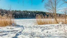 Zimowa wersja plaży w Starych Juchach, jezioro Jędzelewo - zdjęcie 29