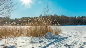 Zimowa wersja plaży w Starych Juchach, jezioro Jędzelewo - zdjęcie 14