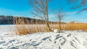 Zimowa wersja plaży w Starych Juchach, jezioro Jędzelewo - zdjęcie 19