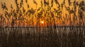 Zachód słońca nad jeziorem Mamry, port Rybaczówka Kal, marzec 2026 r. - zdjęcie 17